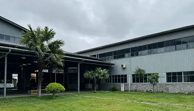 平台规则迭代中,文案创作服务如何精准适配
